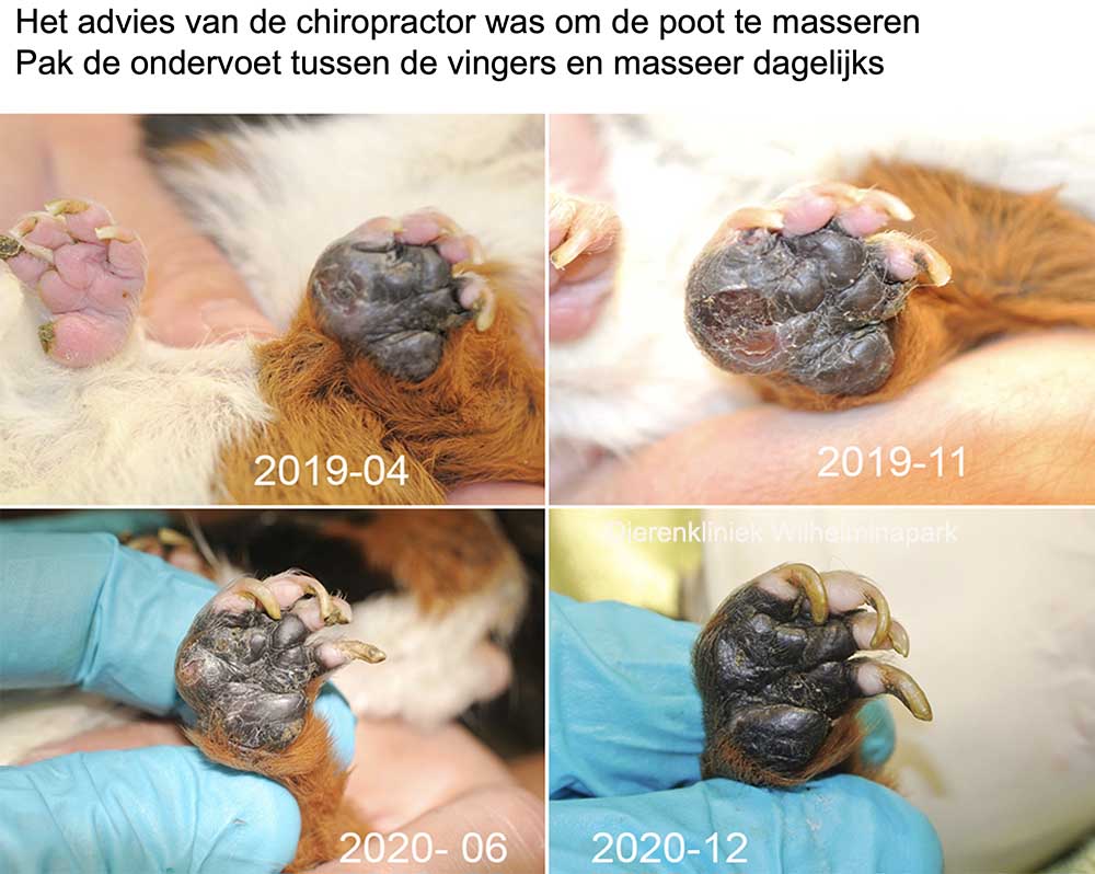 Een bumblefoot masseren